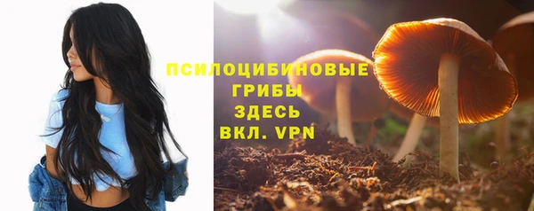 таблы Гусев