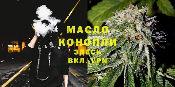 таблы Гусев