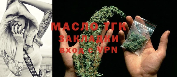 таблы Гусев