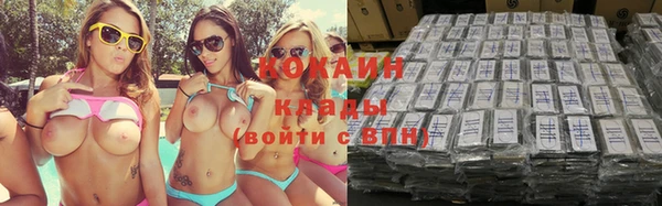 таблы Гусев