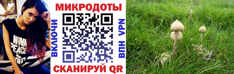 Галлюциногенные грибы Psilocybe  Купить где  Ковдор 